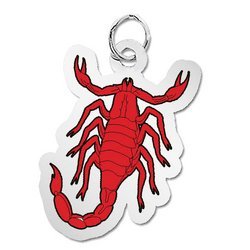 Scorpio Charm