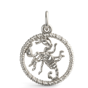 Scorpion Charm