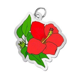 Hibiscus Charm